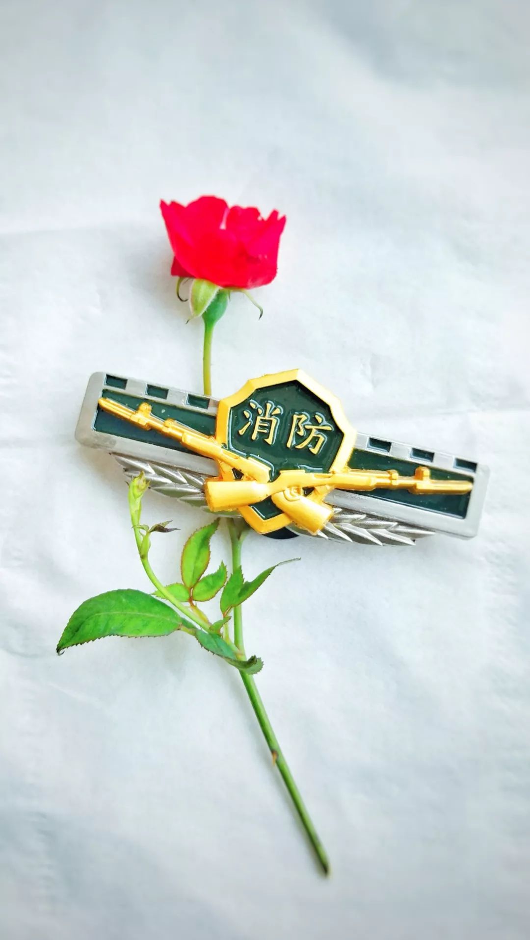 什么是柔情与铁血？这40张原创美图为你诠释（4）