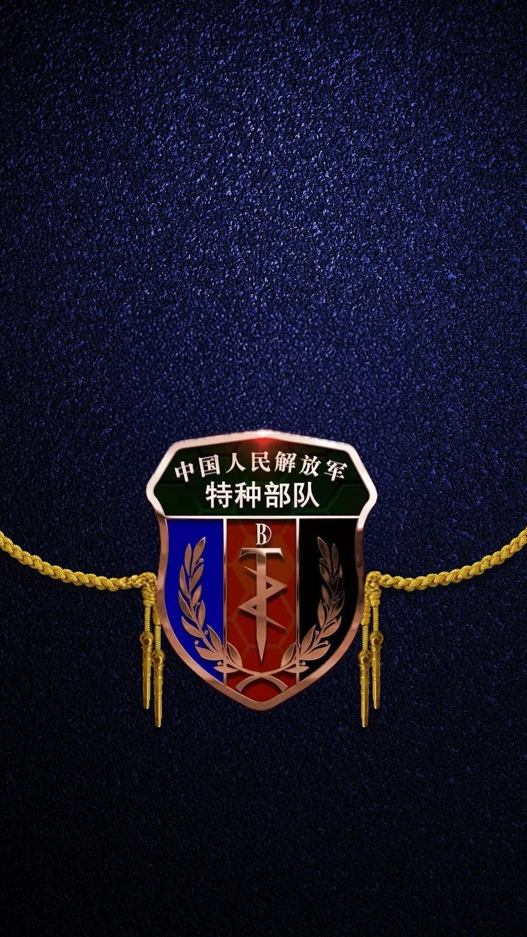解放军武警部队手机壁纸（19）