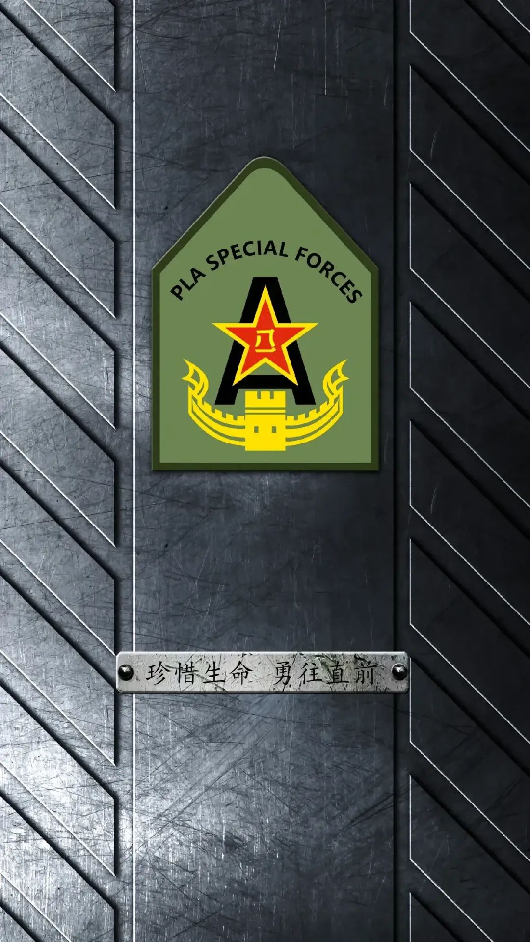 PLA壁纸：听党指挥 能打胜仗 作风优良！（18）