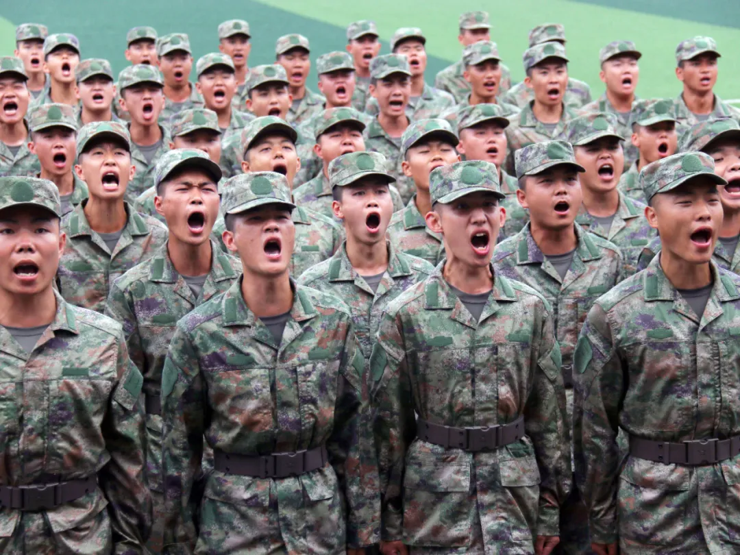 班排是什么？班排的编制、训练、战术及职责分别是什么？